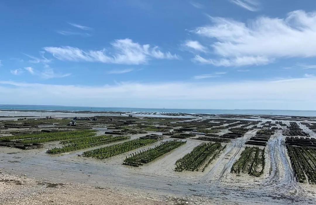 vue sur mer-1