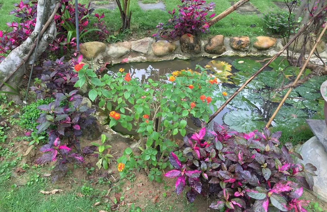 Vu Homestay-1