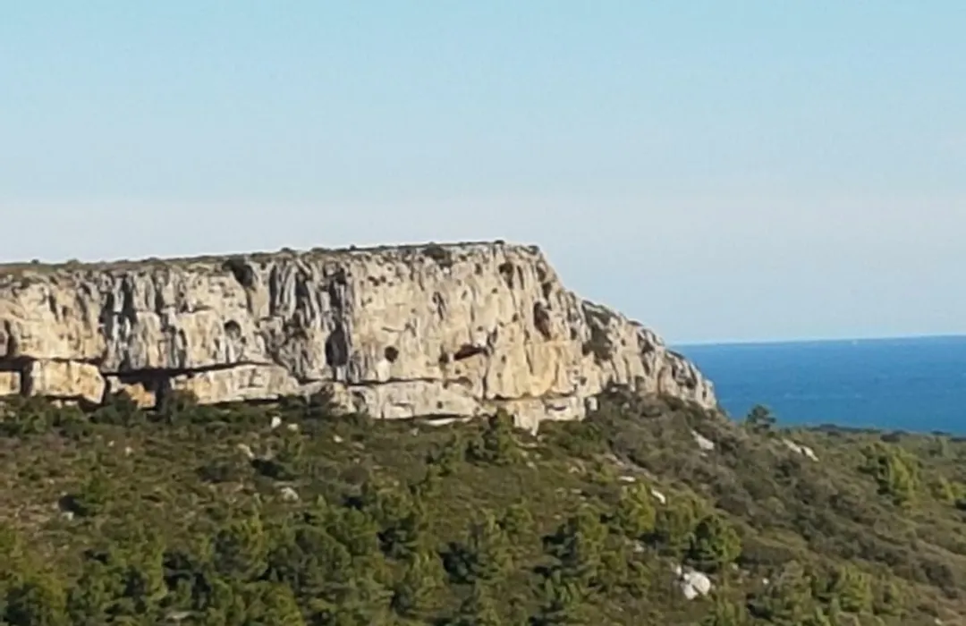 Les Cigales-1