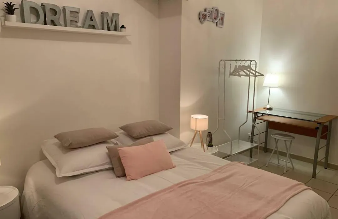 CHARMANT T2 PROCHE CENTRE VILLE PLAGE JARDIN DIOR 50 m2-1