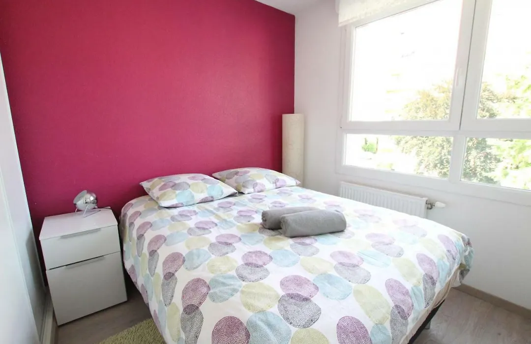 Colmar City Center - Appartement Galtz Terrasse And Free Parking - Bookingalsace-1