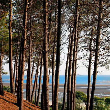 T2 cabine 35m2 au port d'Arcachon avec balcon et parking sécurisé - FR-1-420-28-3