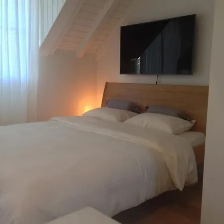 Carouge Loft Apartment-2