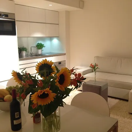 Carouge Loft Apartment-3
