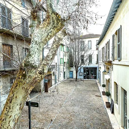 Studios entre le Pont d' Avignon et le Palais des Papes-3