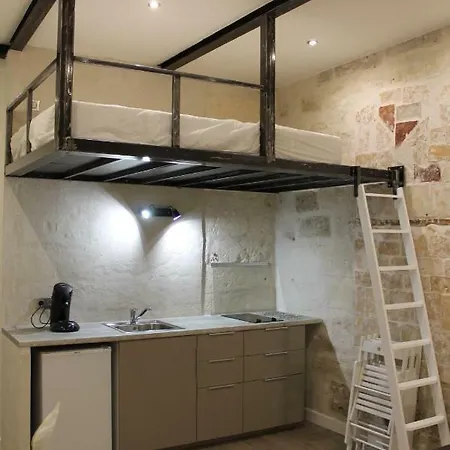 Studios entre le Pont d' Avignon et le Palais des Papes-2