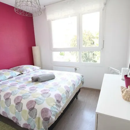 Colmar City Center - Appartement Galtz Terrasse And Free Parking - Bookingalsace-2