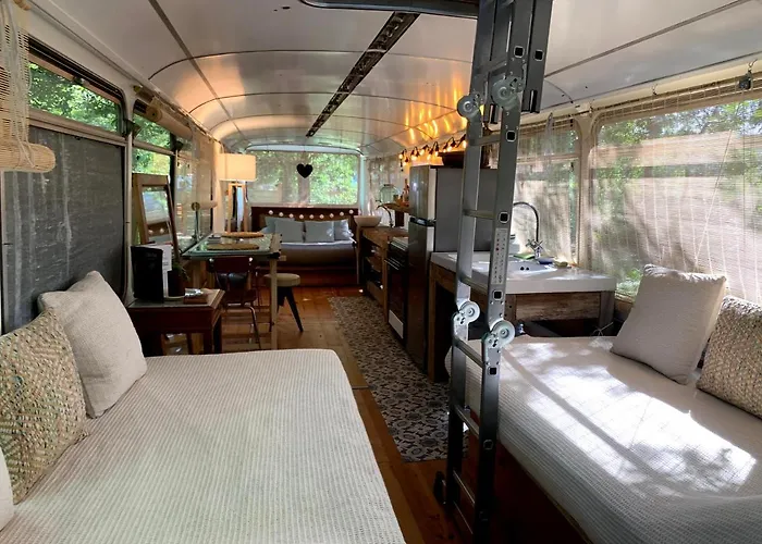 Magic Roof Top Bus With Big Bath In The Tree Forest!