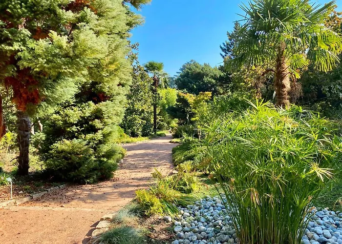 Oasis au Coeur de Ville