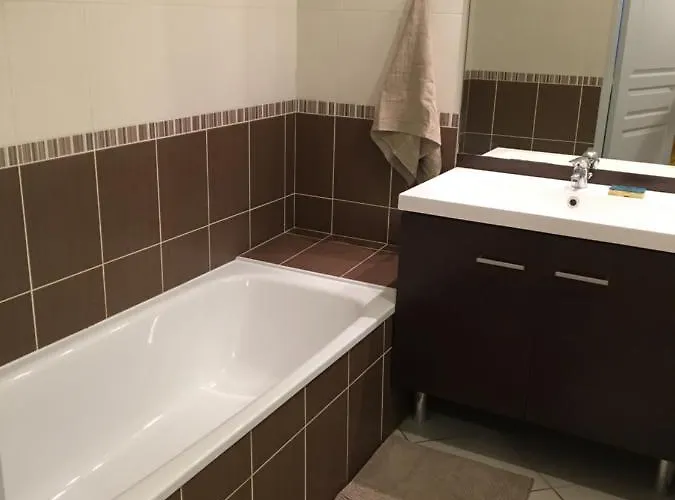 Appartement tout équipé avec piscine proche Stade OL et EUREXPO
