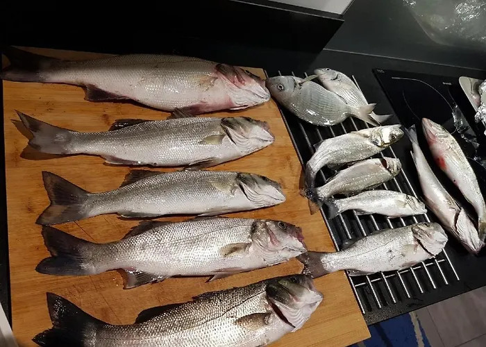 Animaux admis Auberge De Cucugnan