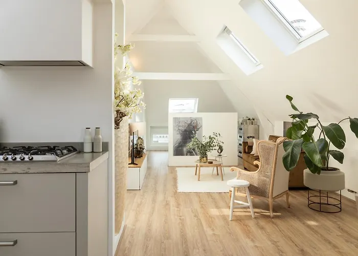 Huize Copes Apartment Den Haag, 2 Bed, 2 Bath