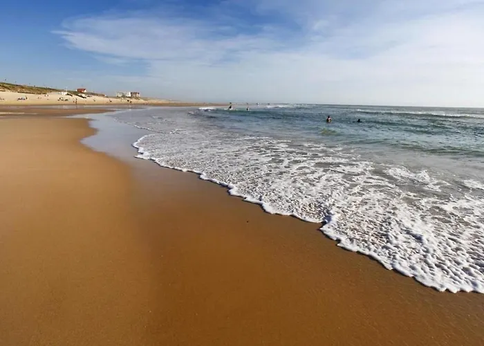 Studio Biscarrosse Plage, 1 pièce, 4 personnes - FR-1-521-39