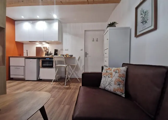 Les appartements du centre, refaits à neuf, climatiseur mobile, hyper centre, 50m à pieds des commerces, restaurants, parking gratuit