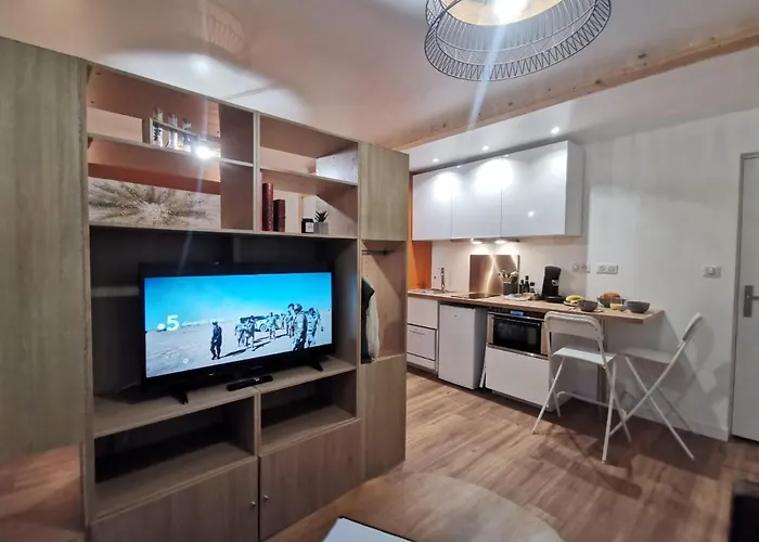 Les appartements du centre, refaits à neuf, climatiseur mobile, hyper centre, 50m à pieds des commerces, restaurants, parking gratuit