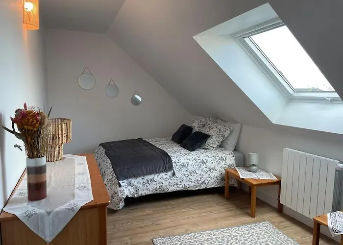 Appartement cosy sous les toits