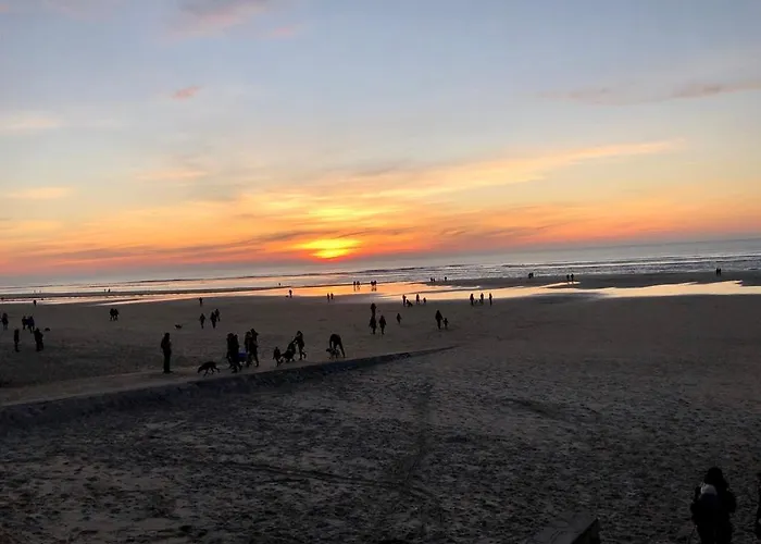 Charmant T2, hyper-centre, à 50m de la plage !