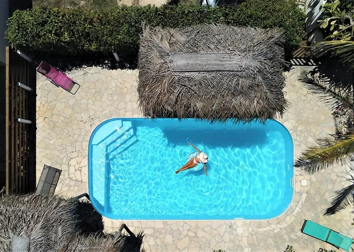 Animaux admis Cannelle