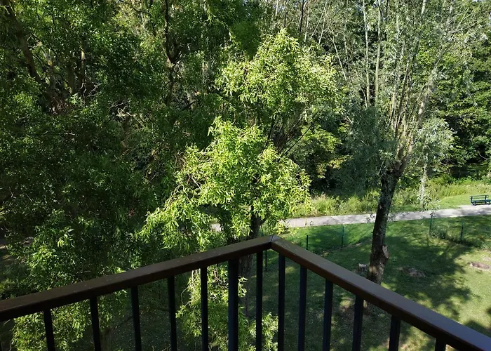 Bonvallet - Studio paisible et chaleureux avec balcon