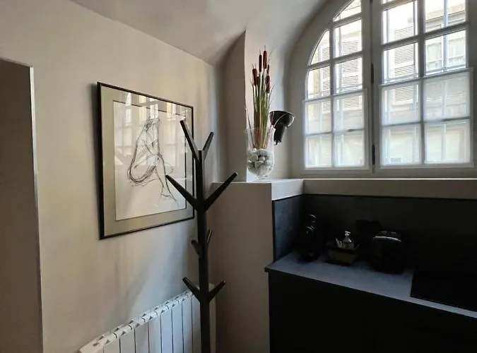 Appartement 35 m2 Hôtel Particulier XVII ieme Centre Historique Clermont-Ferrand-Lucas II