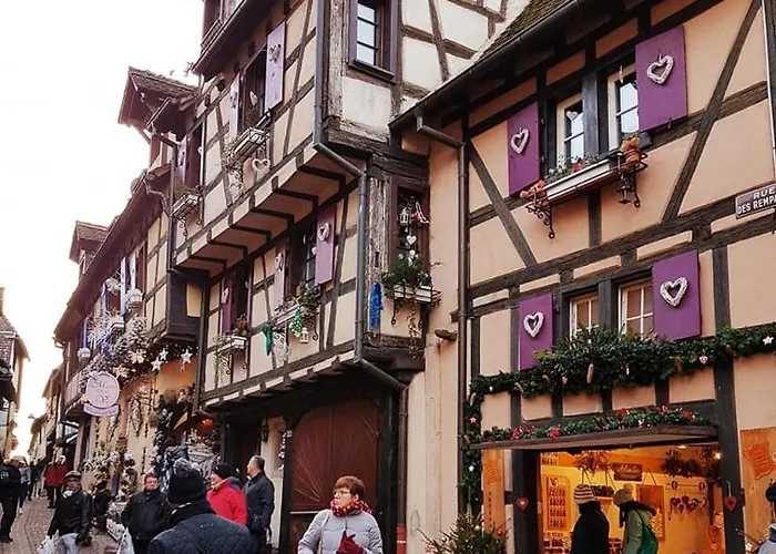 gite joseph 2pers dans le vignoble à 8km de Colmar