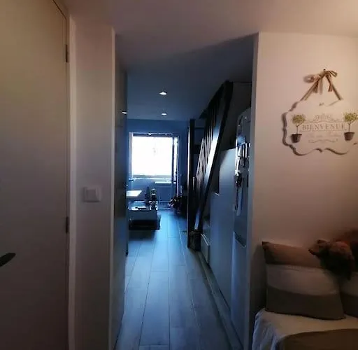 Magnifique Duplex face à la Mer