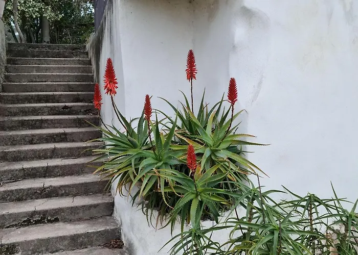 Gîte Zen
