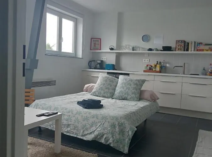 Roubaix près Lille, un cocon en plein centre
