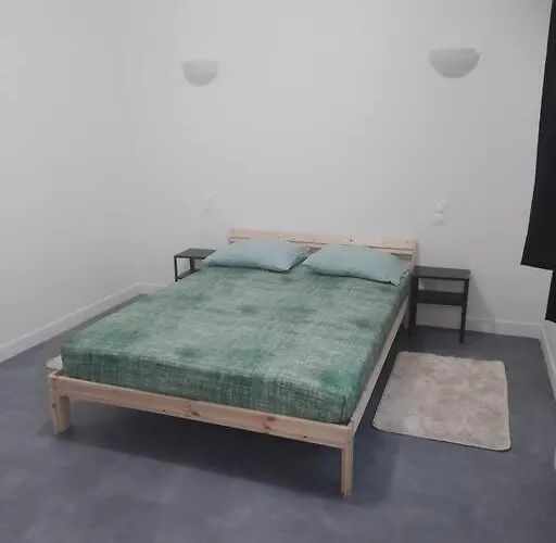 appartement 2 T2 neuf et élégant proche zénith