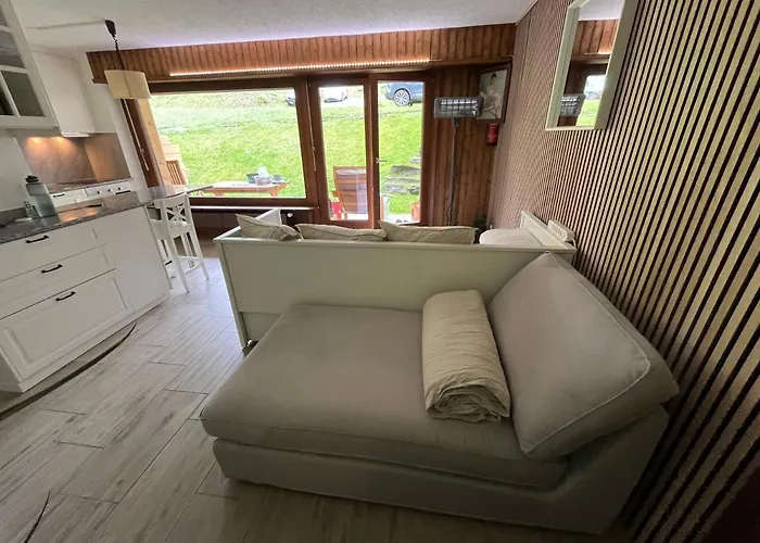 Magnifique studio Ski In-Ski Out - Pas de parking hiver