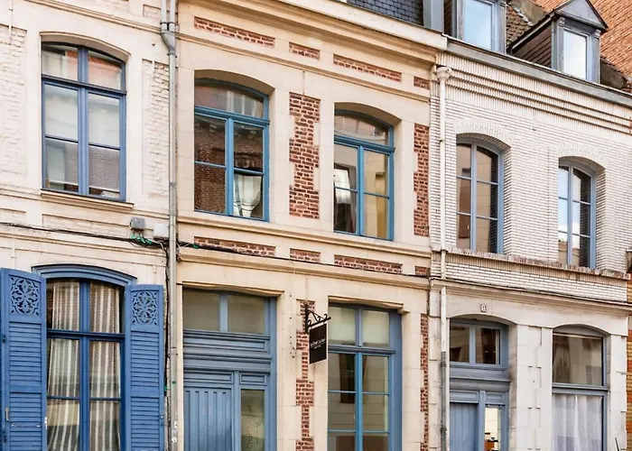 Le Chat Qui Dort - Vieux Lille II