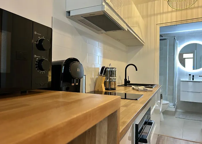 LE PETIT NIORTAIS - Centre ville - WIFI - NETFLIX - AMAZON