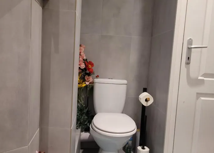 Cocooning House 211 Suite Azur Appartement Aeroport Paris Roissy Cdg, Parc Asterix, Chateau De Chantilly, Stade De France