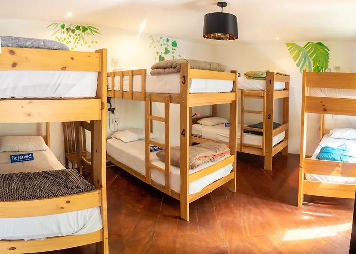 Rainbow Hostel