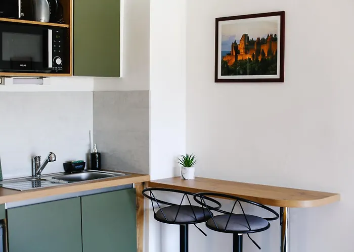 Studio avec parking vue sur la Cité de Carcassonne
