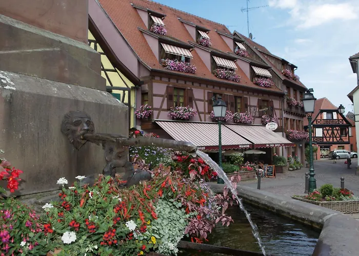 Hôtel Au Lion