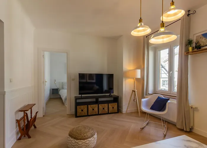 Appartement avec vue sur vignoble