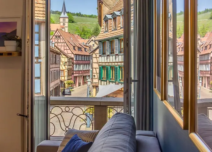 Appartement avec vue sur vignoble