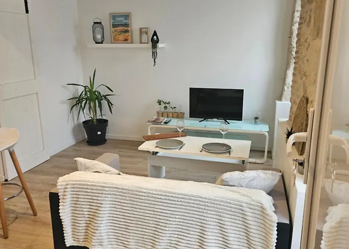 Appartement Centre Historique D'Auch