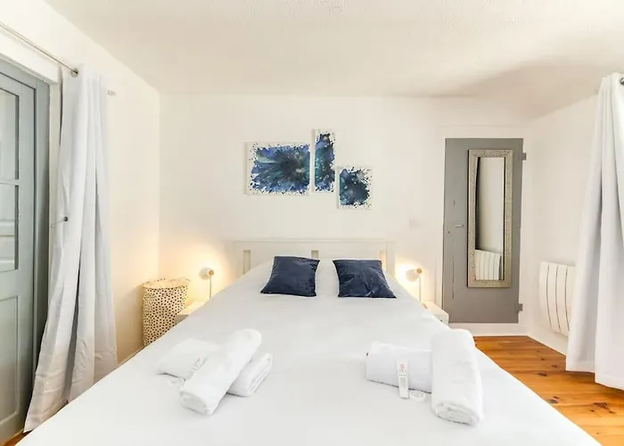 La Salamandre, 40 m2,Clim, 1 chambre, gare