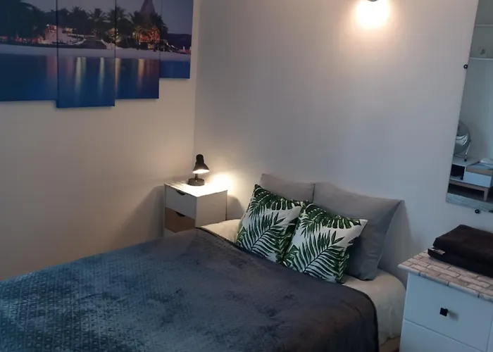 Cosy Paris
