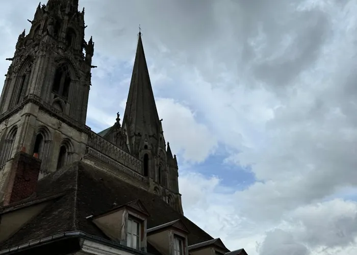 Le Cheval Gris - Cathédrale - Hyper Centre