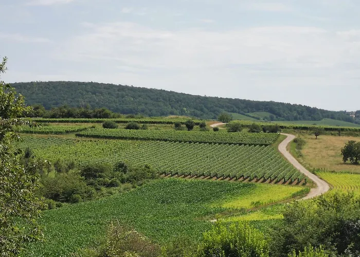 Studio spacieux, route des vins