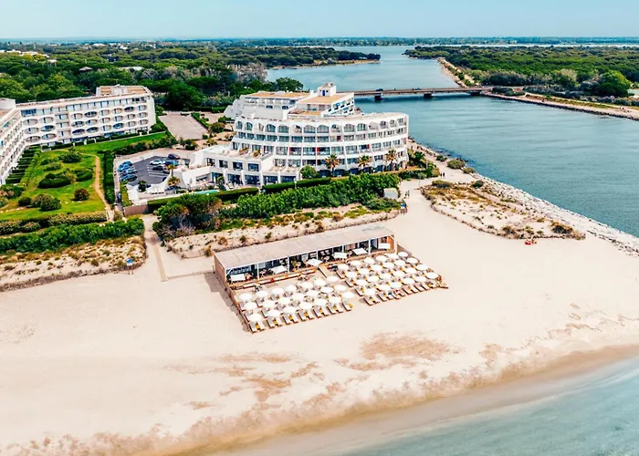 Hôtel accueillant les animaux: Hôtel de la Plage
