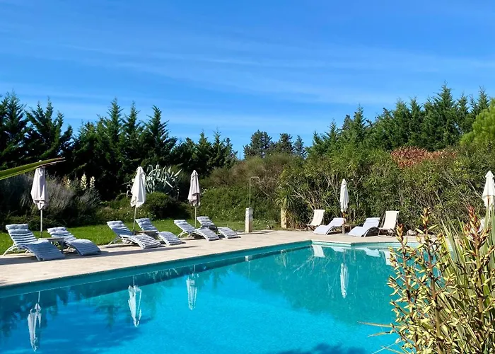 Gîte Crillon - Mas Les Fleurs d'Hilaire