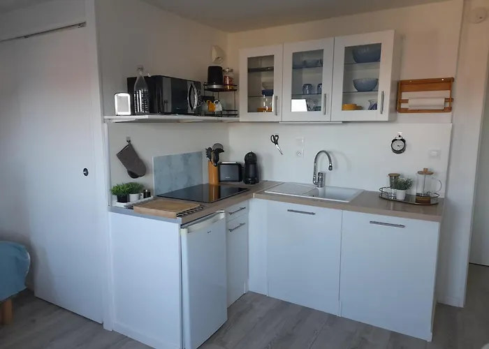 Studio -vue mer résidence Grand Cap