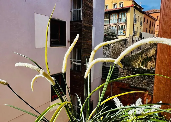 El Capricho De Claudia_ Apartamentos Burgos Catedral