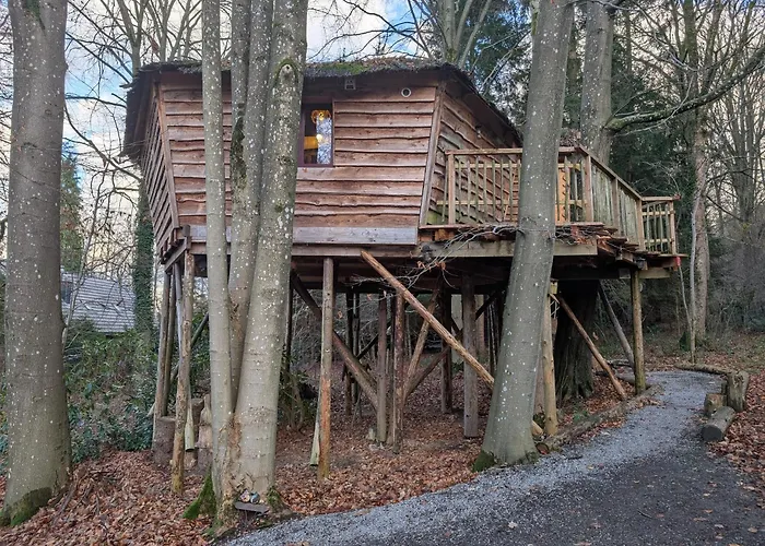 B&B Le Bois Dormant
