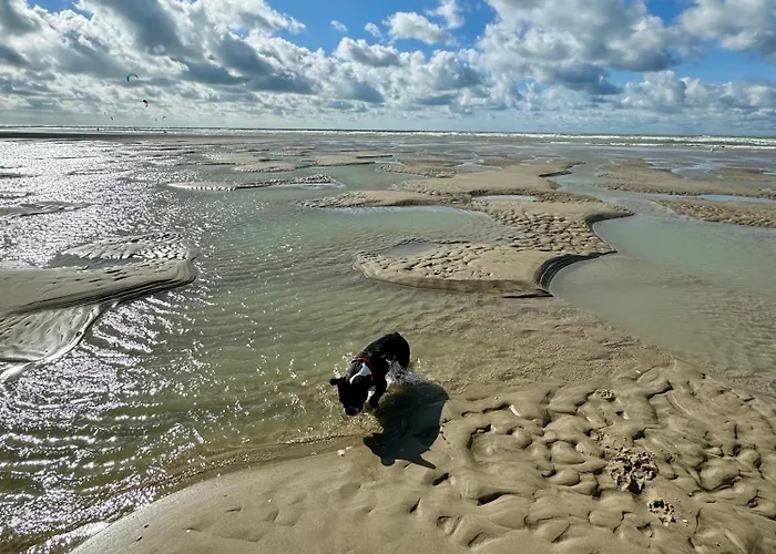 Le paillette T2 400 m de la plage Berck