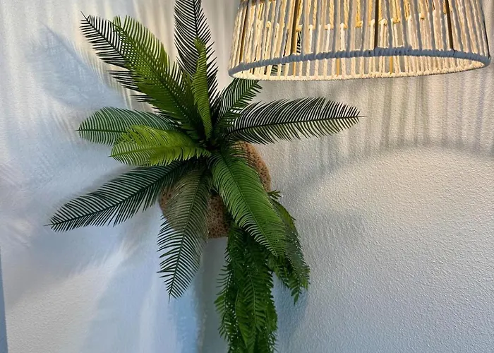Jungle - Vue - Clim - Wifi